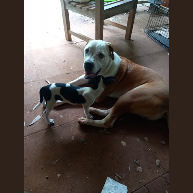 Photo of Frank (Charlie)