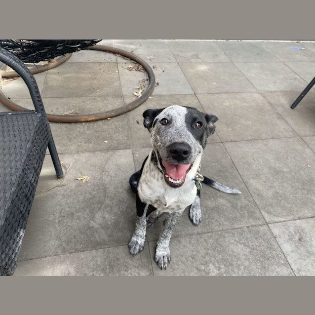 Photo of Siggy Elphinstone