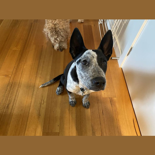 Photo of Siggy Elphinstone