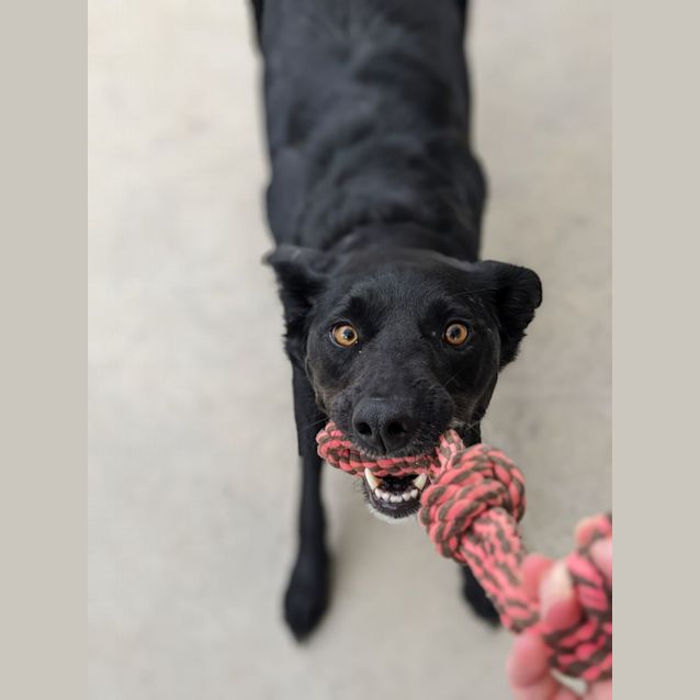 Photo of 🥔 Spud 5094 🥔