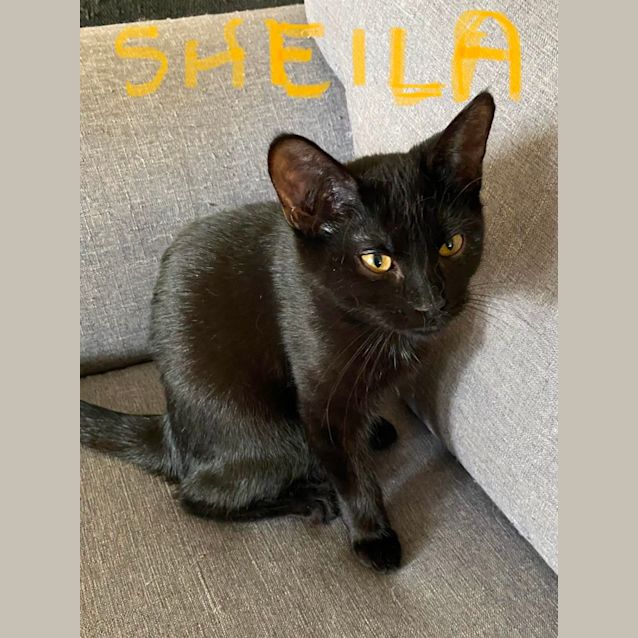 Photo of Sheila
