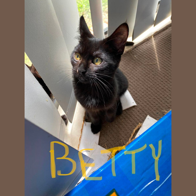 Photo of Betty