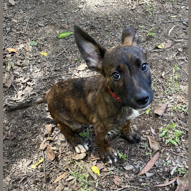 Photo of Zeus