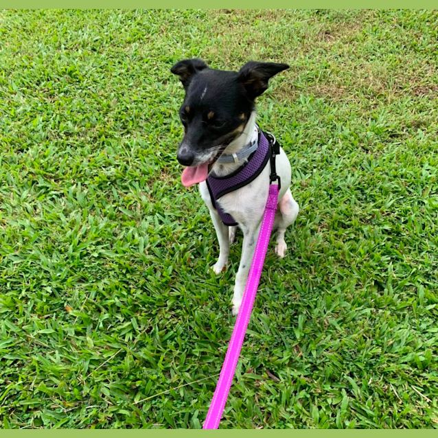 Photo of Suzi