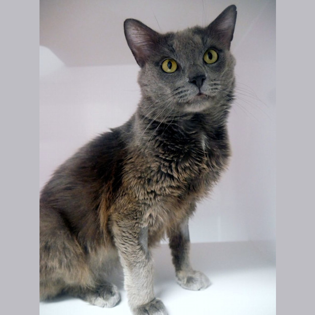 Photo of Karl Sua0121401