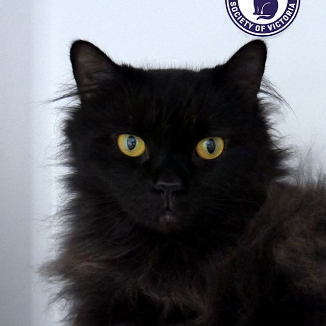 Photo of Hermione Sua012421