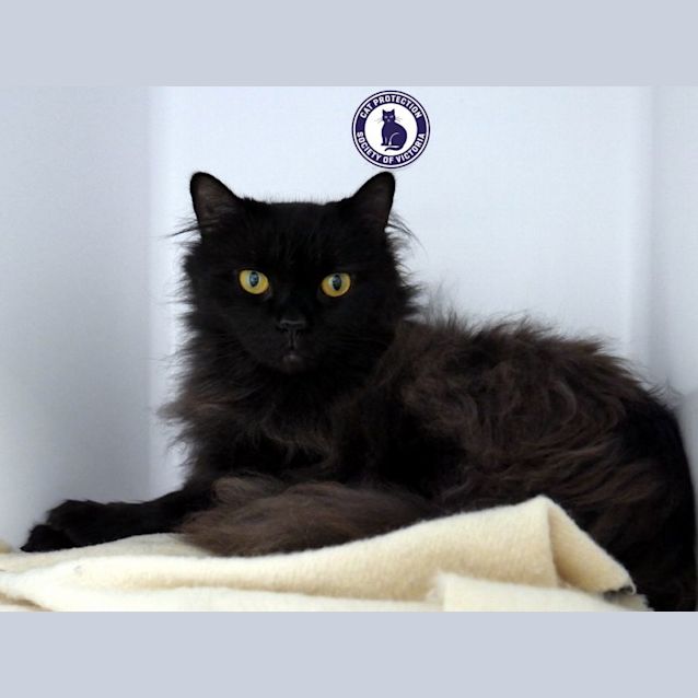 Photo of Hermione Sua012421