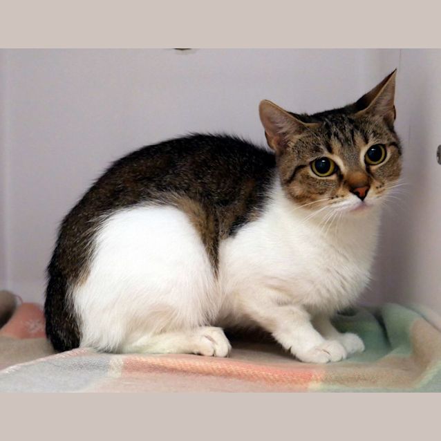 Photo of Mia Sta012153