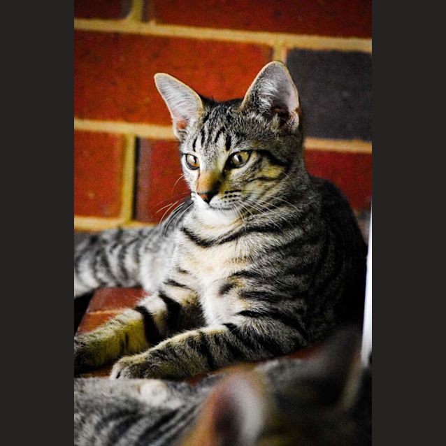 Photo of Sherlock & Watson