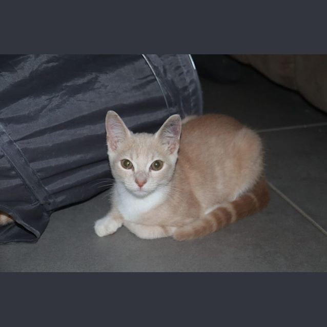 Photo of Captain