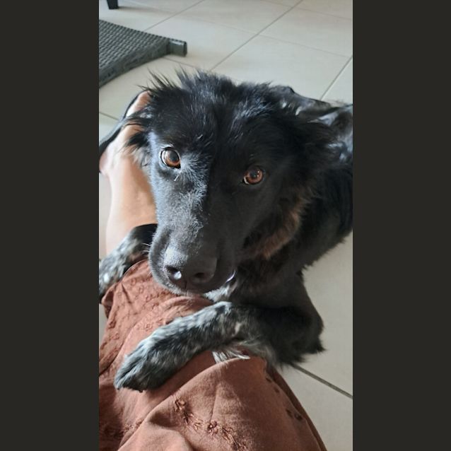 Photo of Lulu