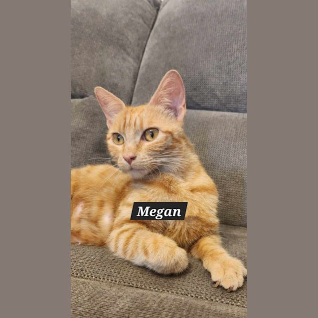Photo of Megan