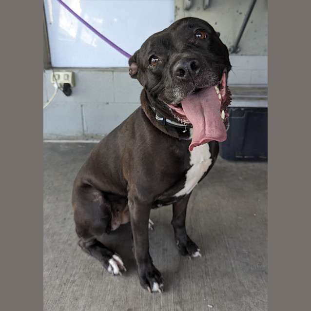 Photo of Lola