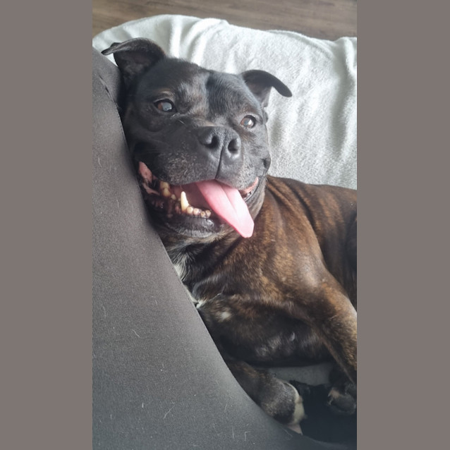 Photo of Oscar