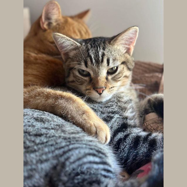 Photo of 🧸Bobby🧸