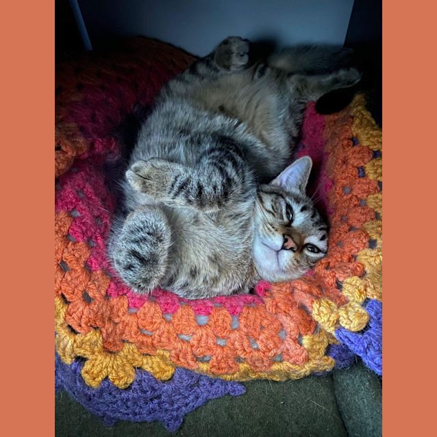 Photo of 🧸Bobby🧸