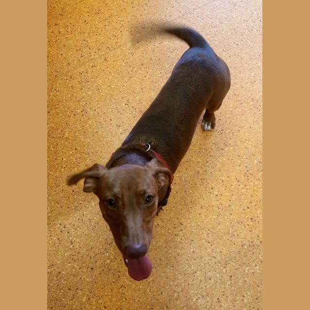 Photo of Salami