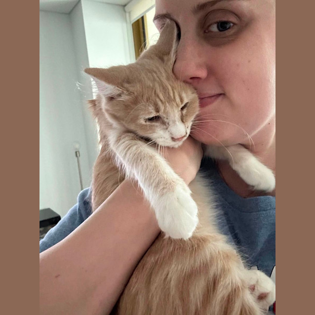 Photo of Olympic Kittens