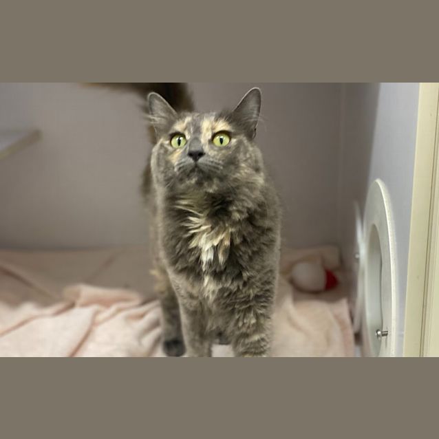 Photo of Cloud