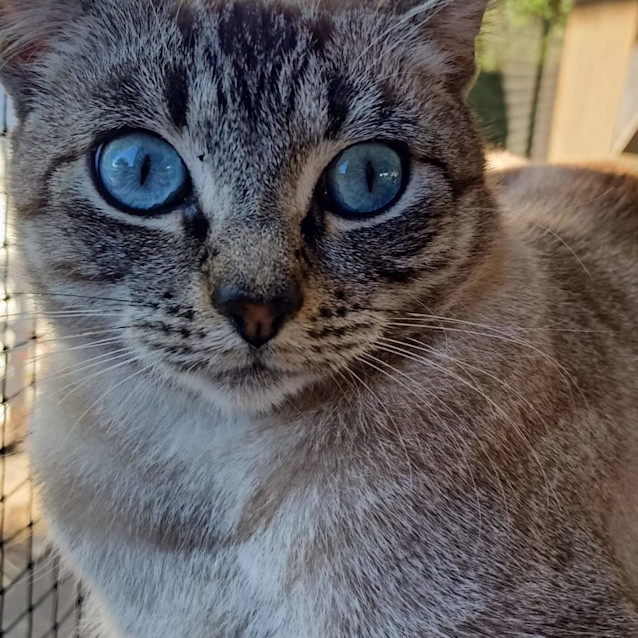 Photo of Sookie