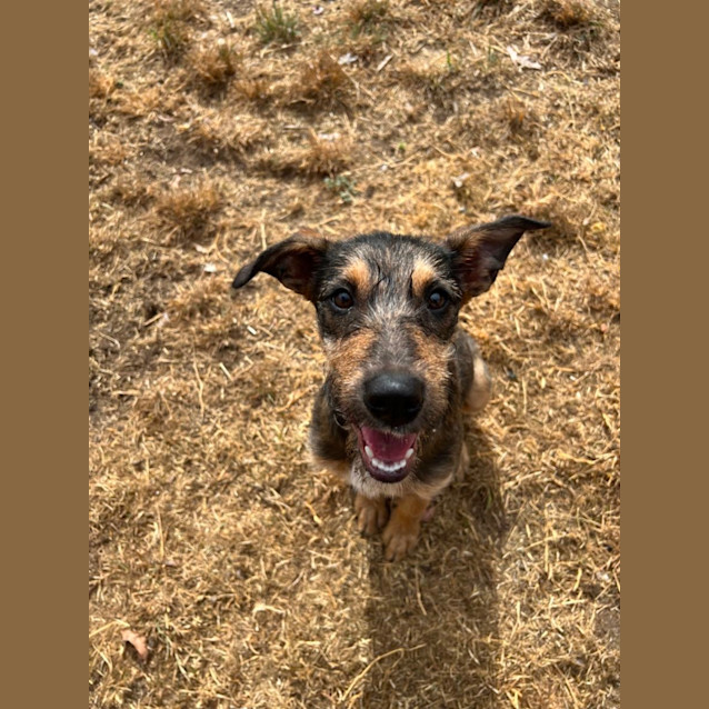 Photo of Luna