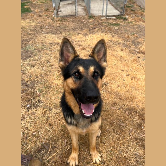 Photo of Zeus