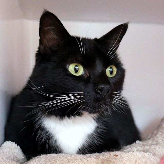 Photo of Coco Sua012279