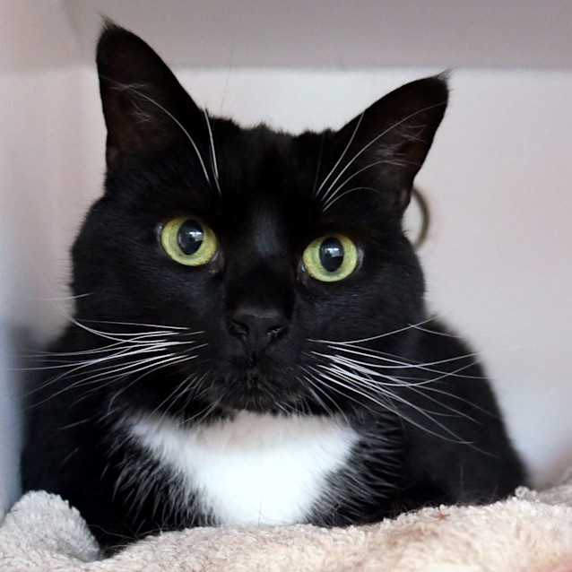 Photo of Coco Sua012279