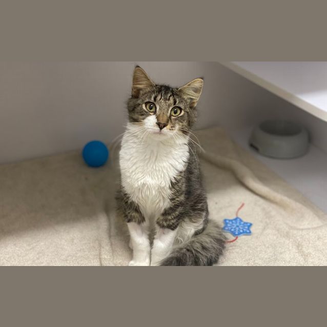 Photo of Dusty