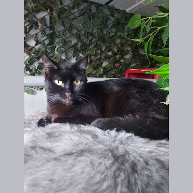 Photo of Audrey Rose 🌹