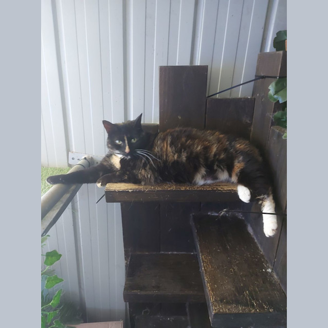 Photo of Annalisa 🌹