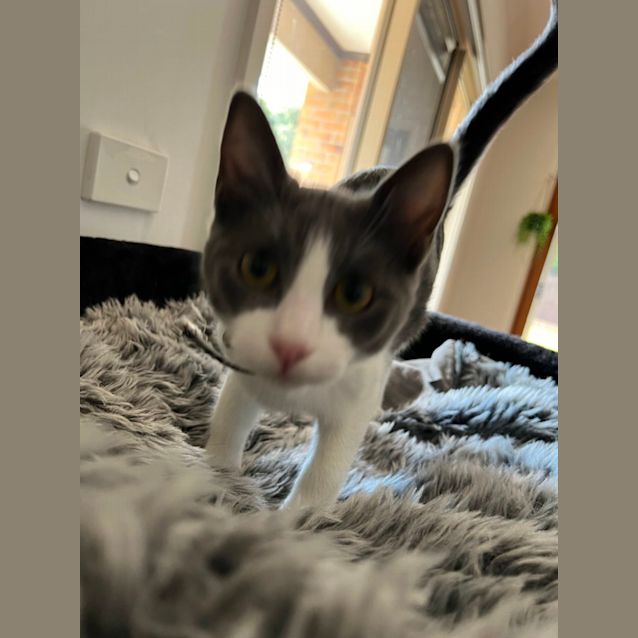 Photo of Mars Meet Me @Petstock  Morning Central