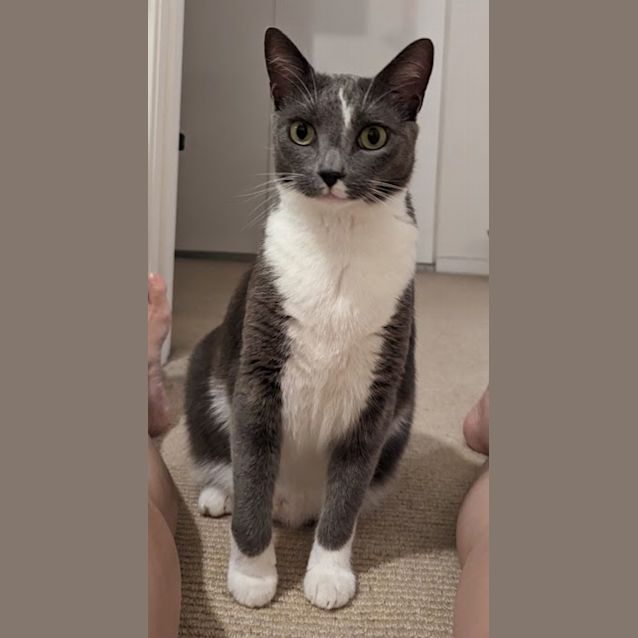 Photo of Leroy