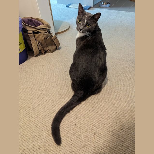 Photo of Leroy