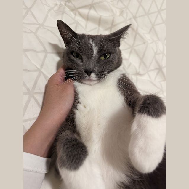 Photo of Leroy