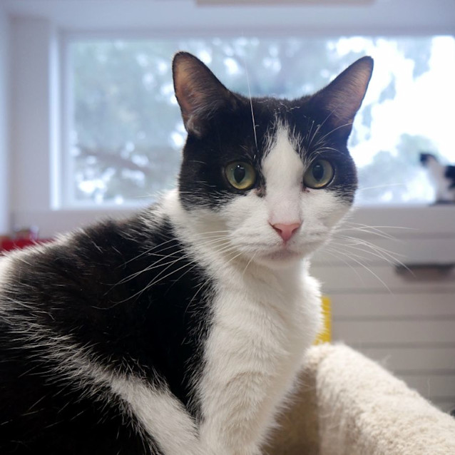 Photo of Elena Sta012127