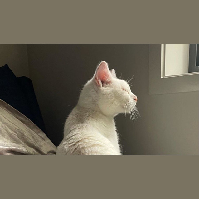 Photo of Angel Babbington