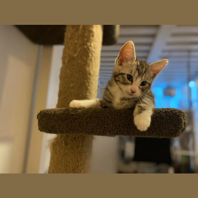 Photo of Ash Babbington