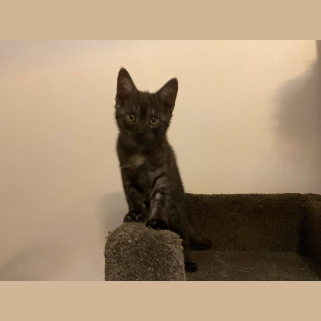 Photo of Jet Babbington