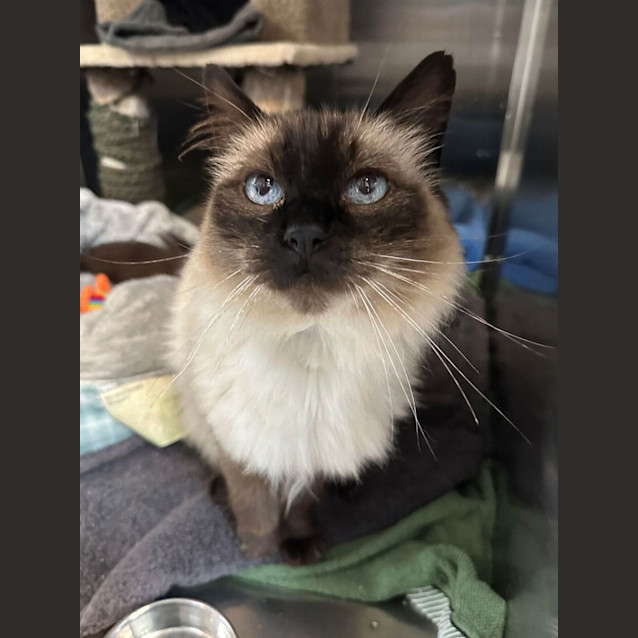 Photo of Jasper