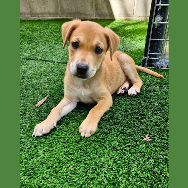 Photo of D953 Tay Tay