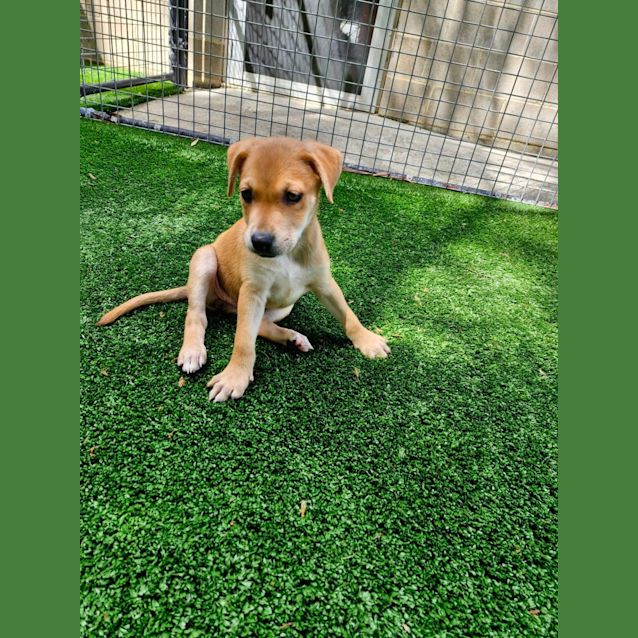 Photo of D953 Tay Tay