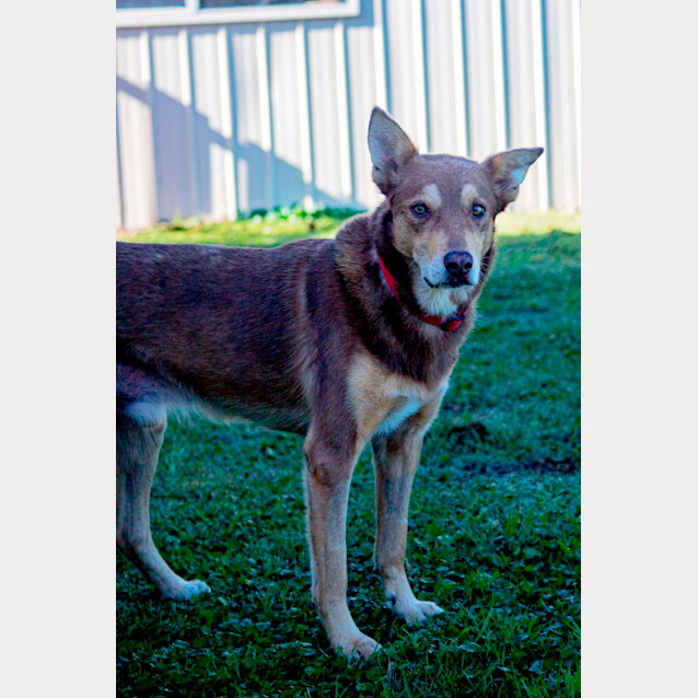 Photo of Ringo