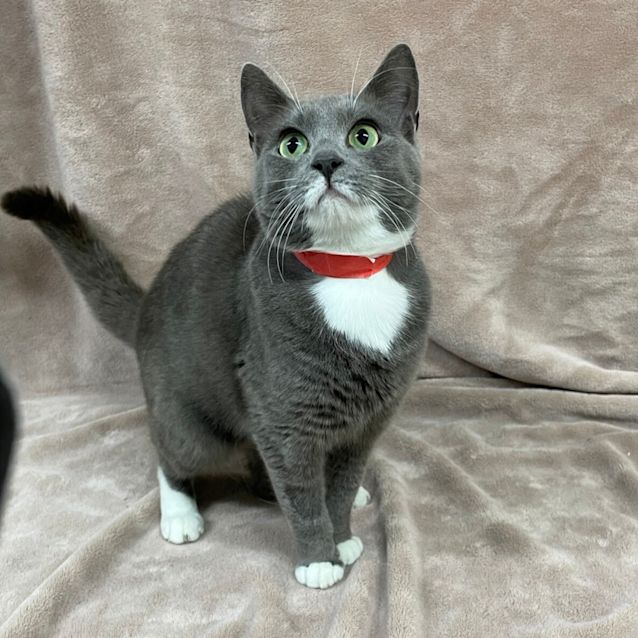 Photo of Rosie
