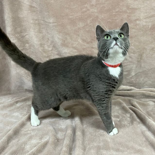 Photo of Rosie