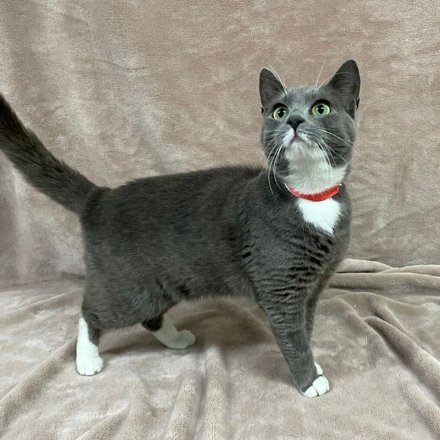 Photo of Rosie