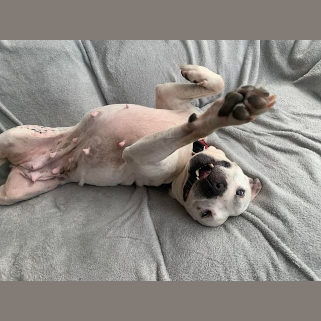 Photo of Nala Tiny Girl Loves Cats