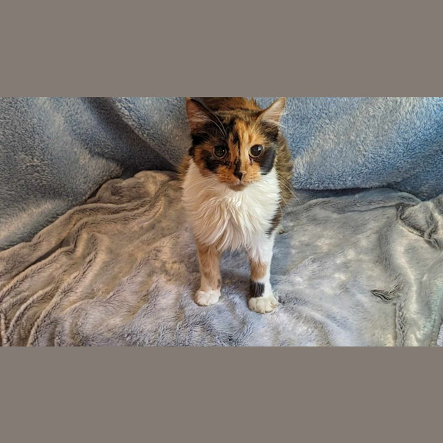 Photo of Angel