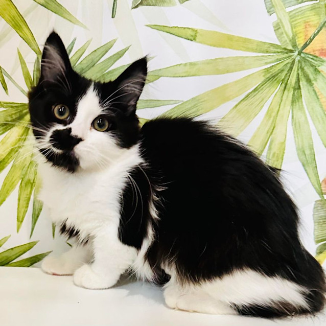 Photo of Nylah   Located In Preston