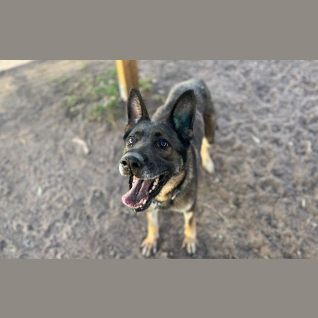 Photo of Cindy Pawper